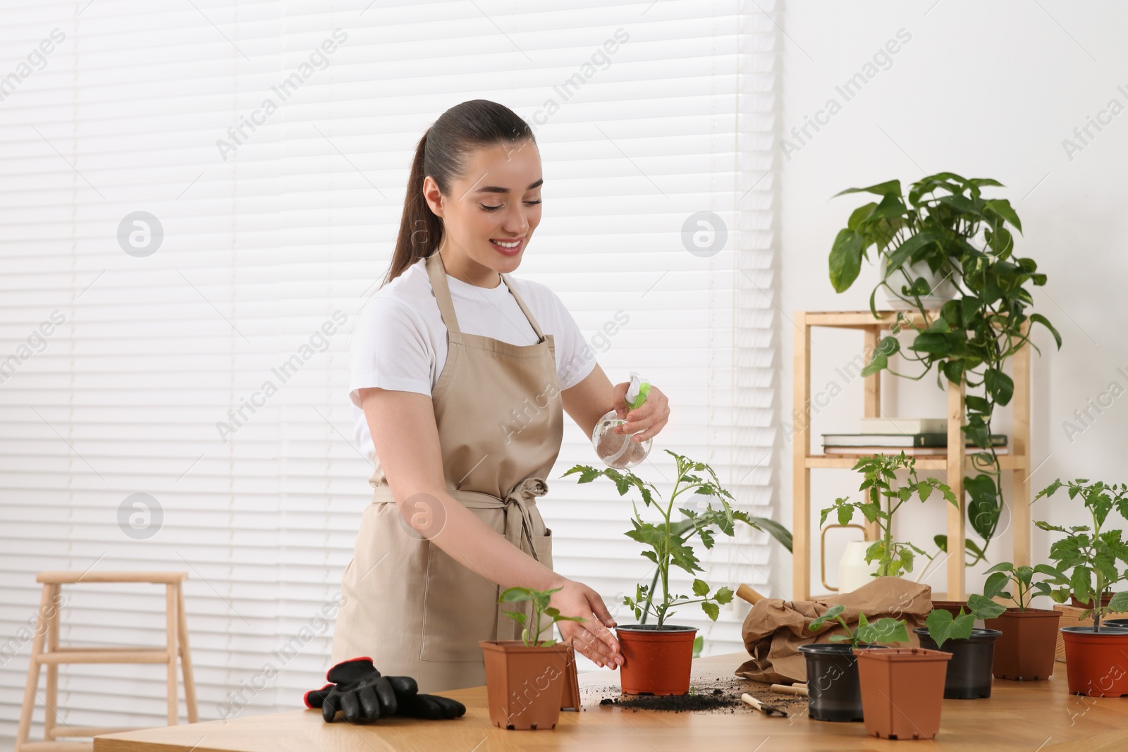 Photo of Happy woman spraying seedling in pot at wooden table in room