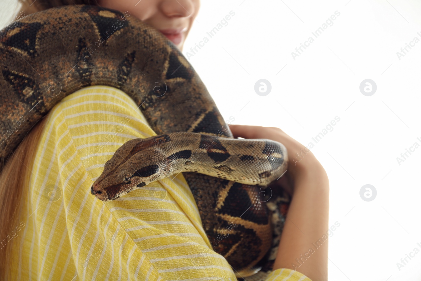 Photo of Young woman with boa constrictor on white background, closeup. Exotic pet