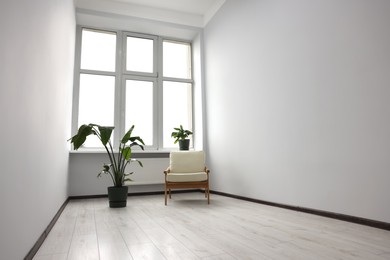 Empty renovated room with potted houseplants and windows