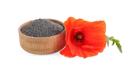 Wooden bowl of poppy seeds and flower isolated on white