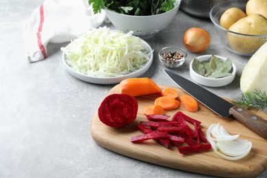 Photo of Fresh ingredients for borscht on light grey table