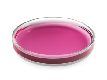 Photo of Petri dish with purple liquid isolated on white