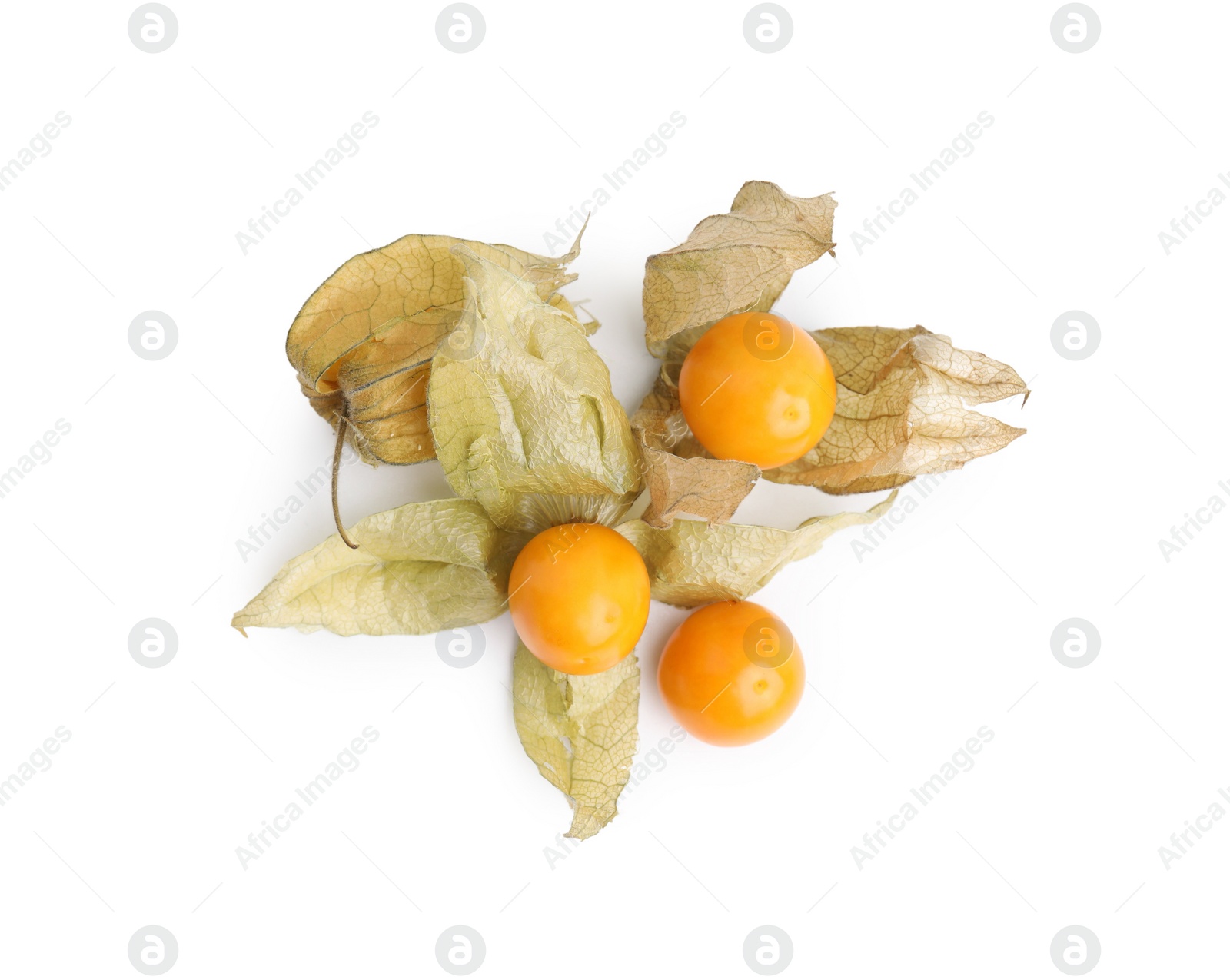 Photo of Many ripe physalis fruits with calyxes isolated on white, top view