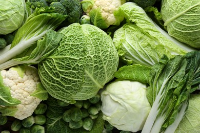 Photo of Many different types of fresh cabbage as background, top view