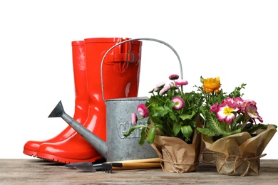 Composition with plants and gardening tools on table against white background