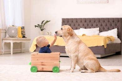 Photo of Little boy playing with adorable yellow labrador retriever at home