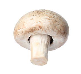 Photo of Fresh champignon mushroom isolated on white. Healthy food