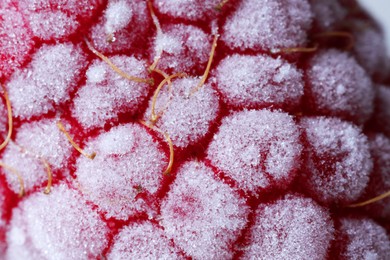 Texture of frozen ripe raspberry, macro view
