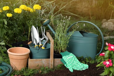 Photo of Beautiful flowers and gardening tools on soil at backyard