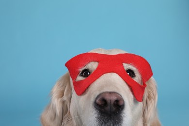 Adorable dog in red superhero mask on light blue background, closeup