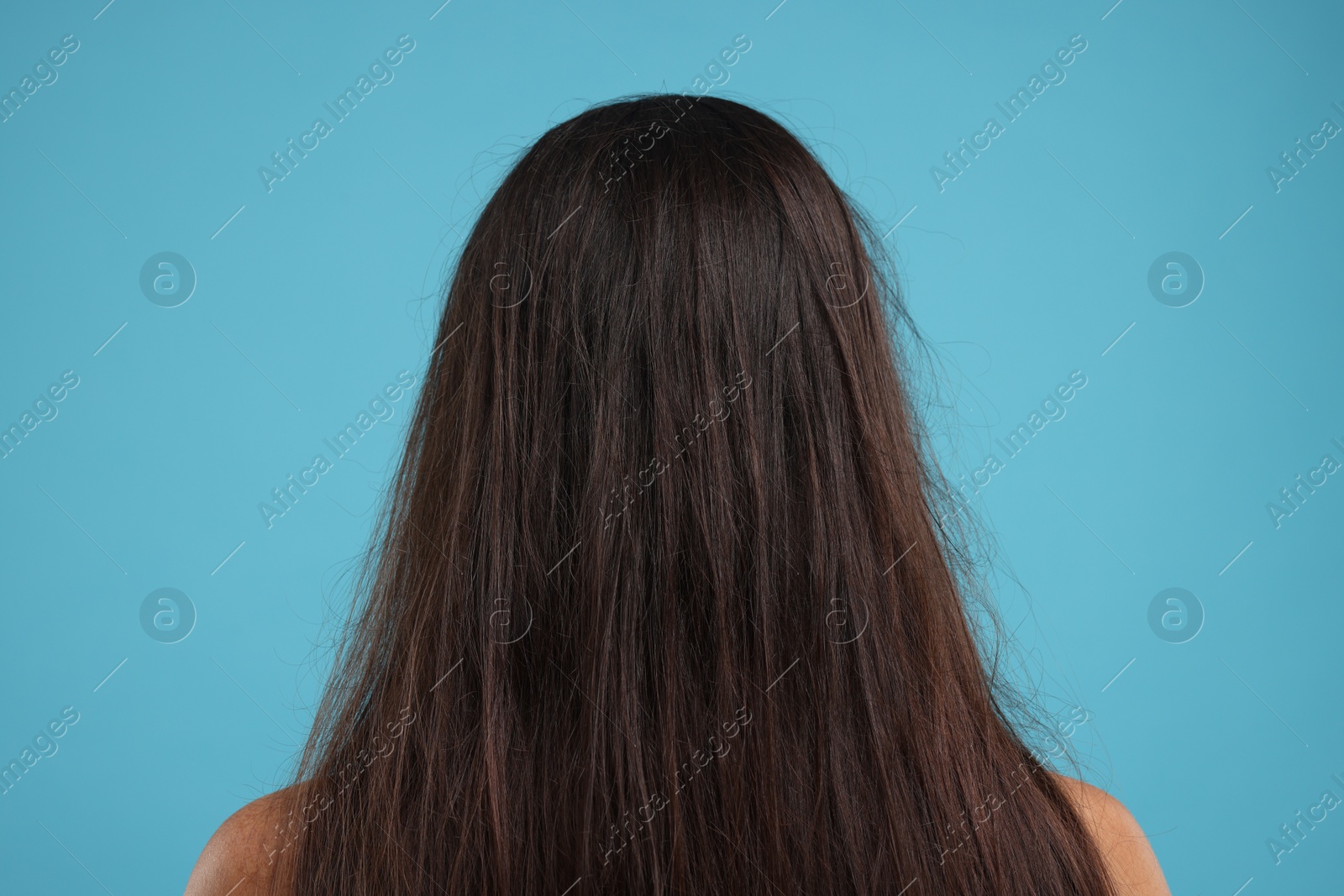 Photo of Woman with damaged messy hair on light blue background, back view