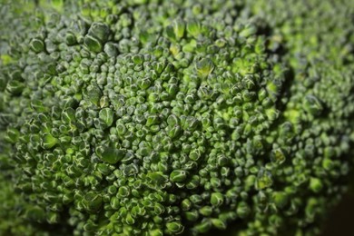 Closeup view of green fresh raw broccoli