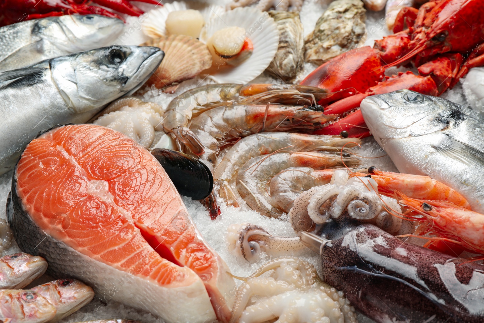 Photo of Fresh fish and seafood on ice, closeup