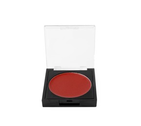 Photo of Cream lipstick palette refill isolated on white. Professional cosmetic product