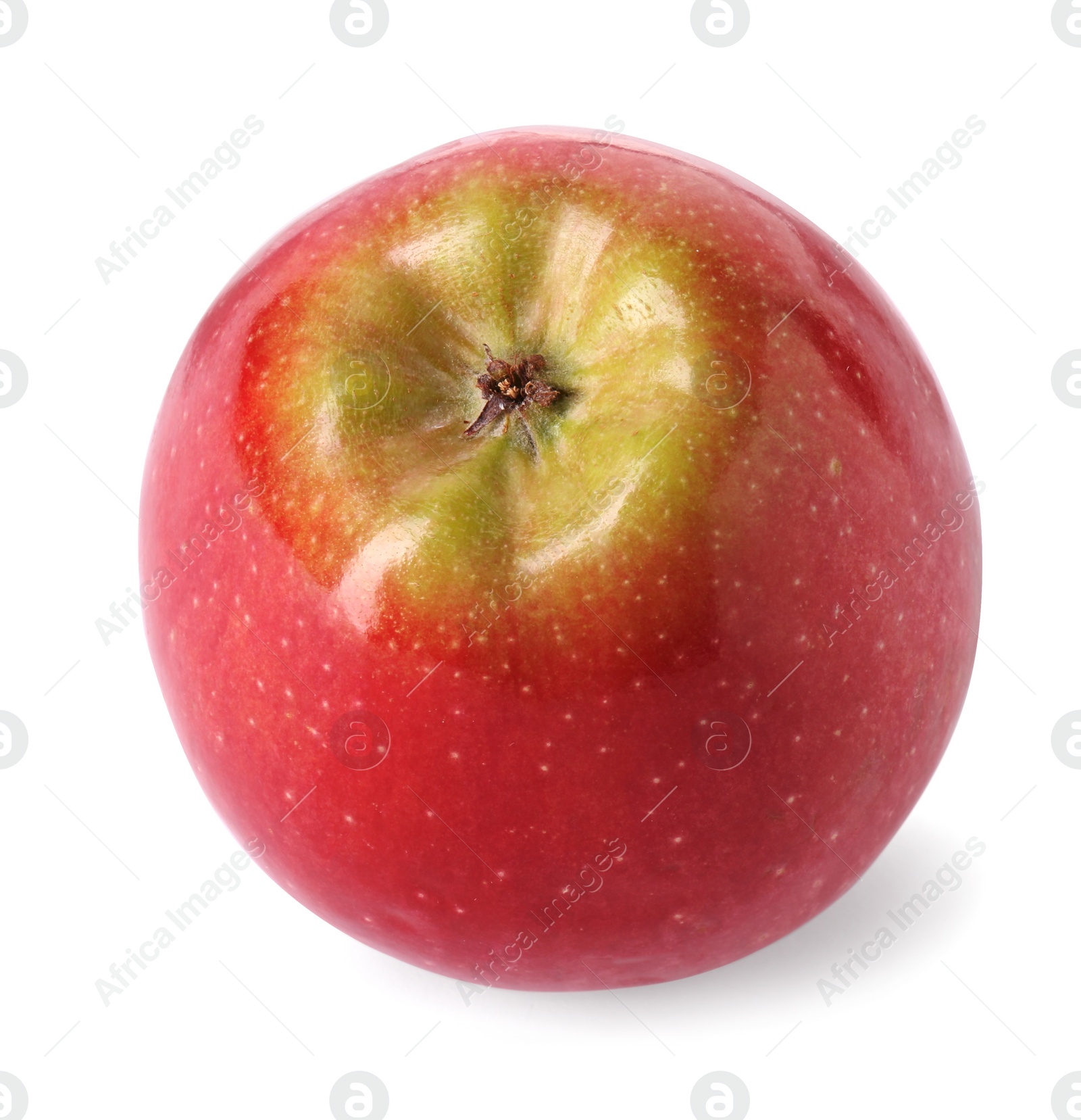 Photo of One ripe red apple isolated on white