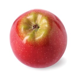 Photo of One ripe red apple isolated on white