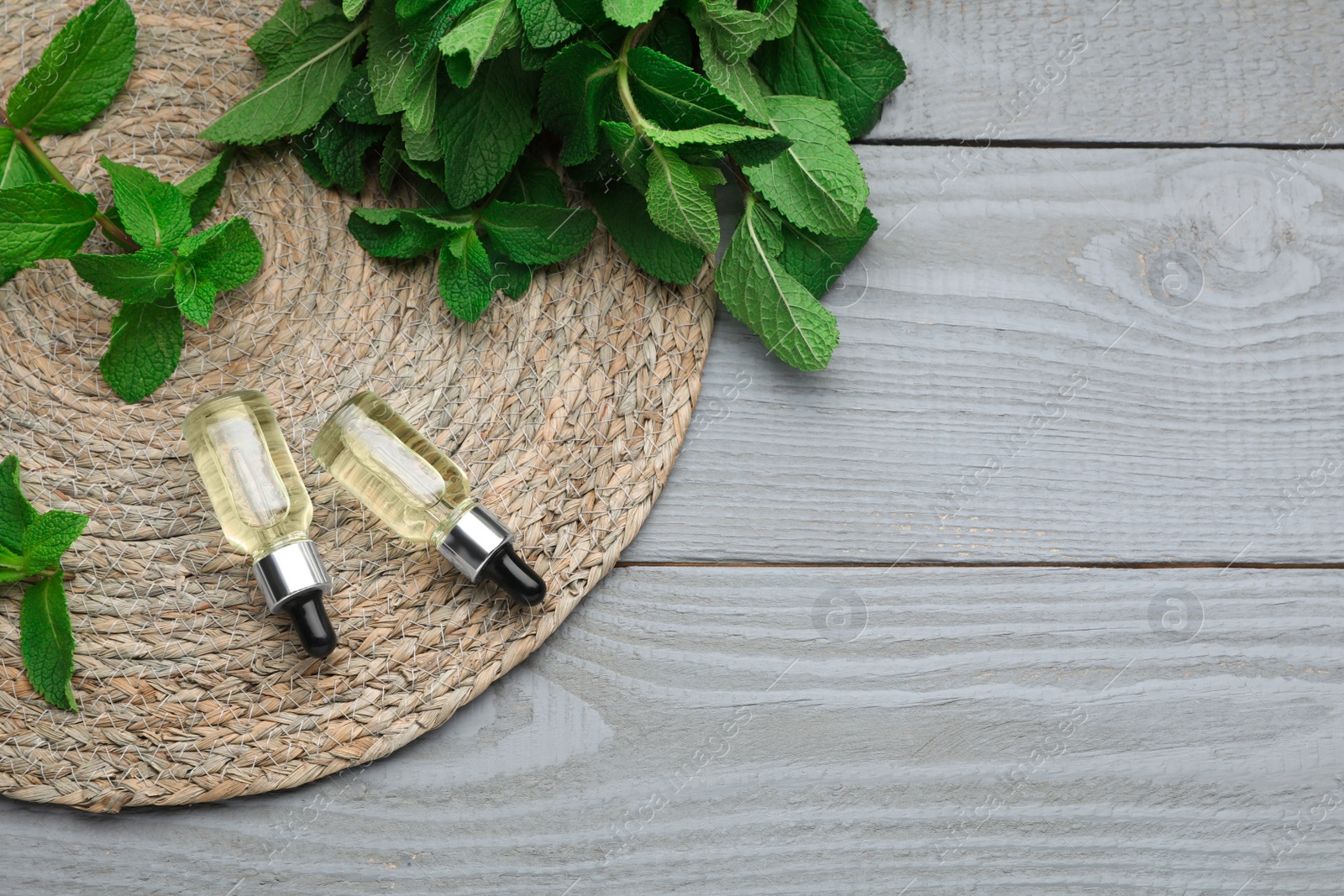 Photo of Bottles of essential oil and mint on grey wooden table, top view. Space for text