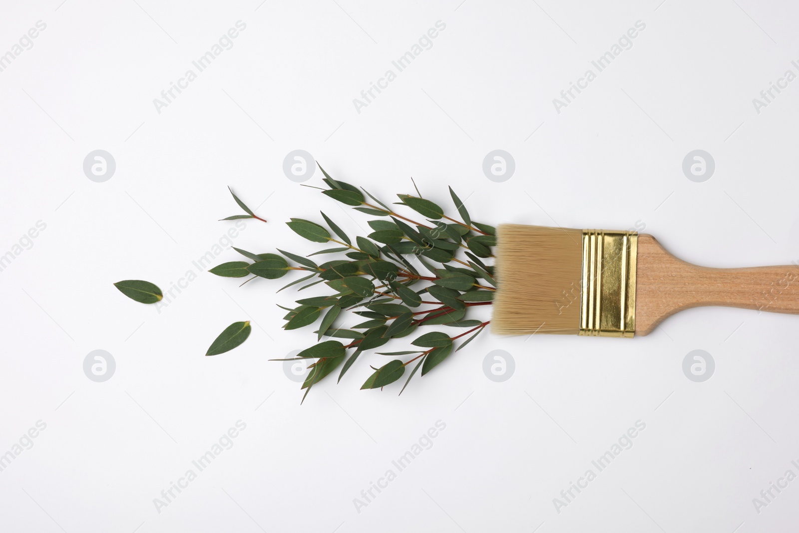 Photo of Brush painting with plant twigs on light background, top view. Creative concept