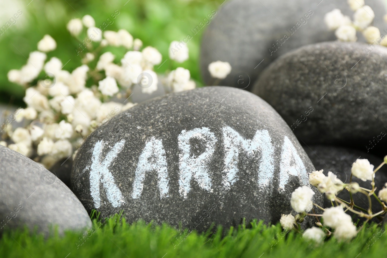 Photo of Stone with word Karma and beautiful flowers on green grass, closeup