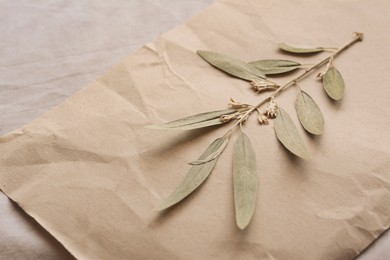 Photo of Sheet of paper with dried green leaves on white fabric, closeup