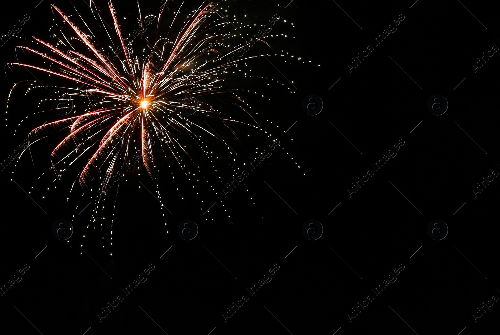 Photo of Beautiful bright firework lighting up night sky