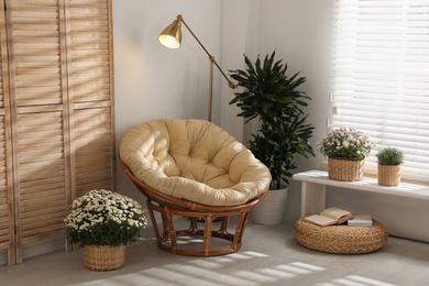 Photo of Wicker pots with beautiful chrysanthemum flowers in stylish room interior