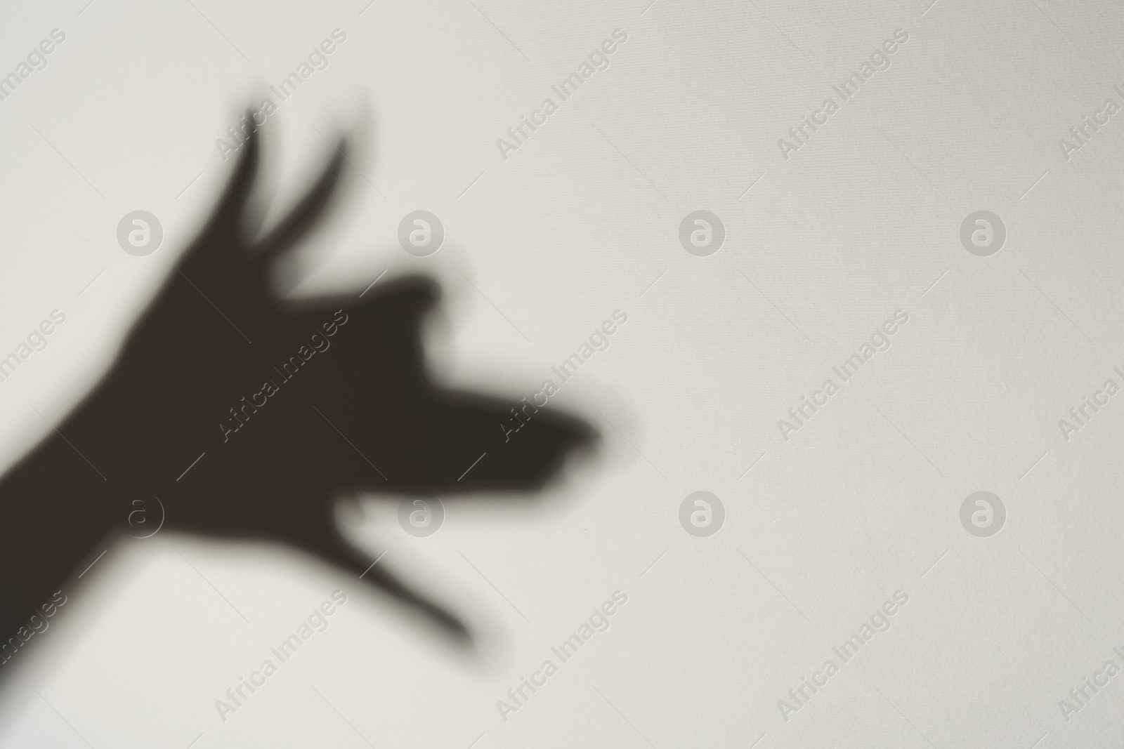 Photo of Shadow of hands like dog on light background, space for text. Black and white effect