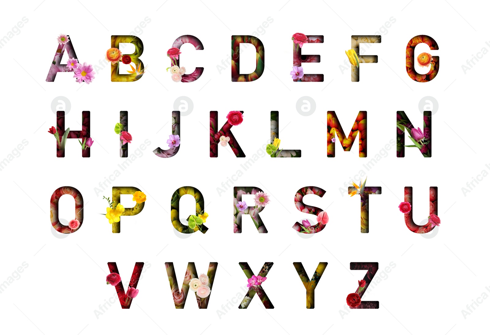 Image of Alphabet letters made of flowers on white background