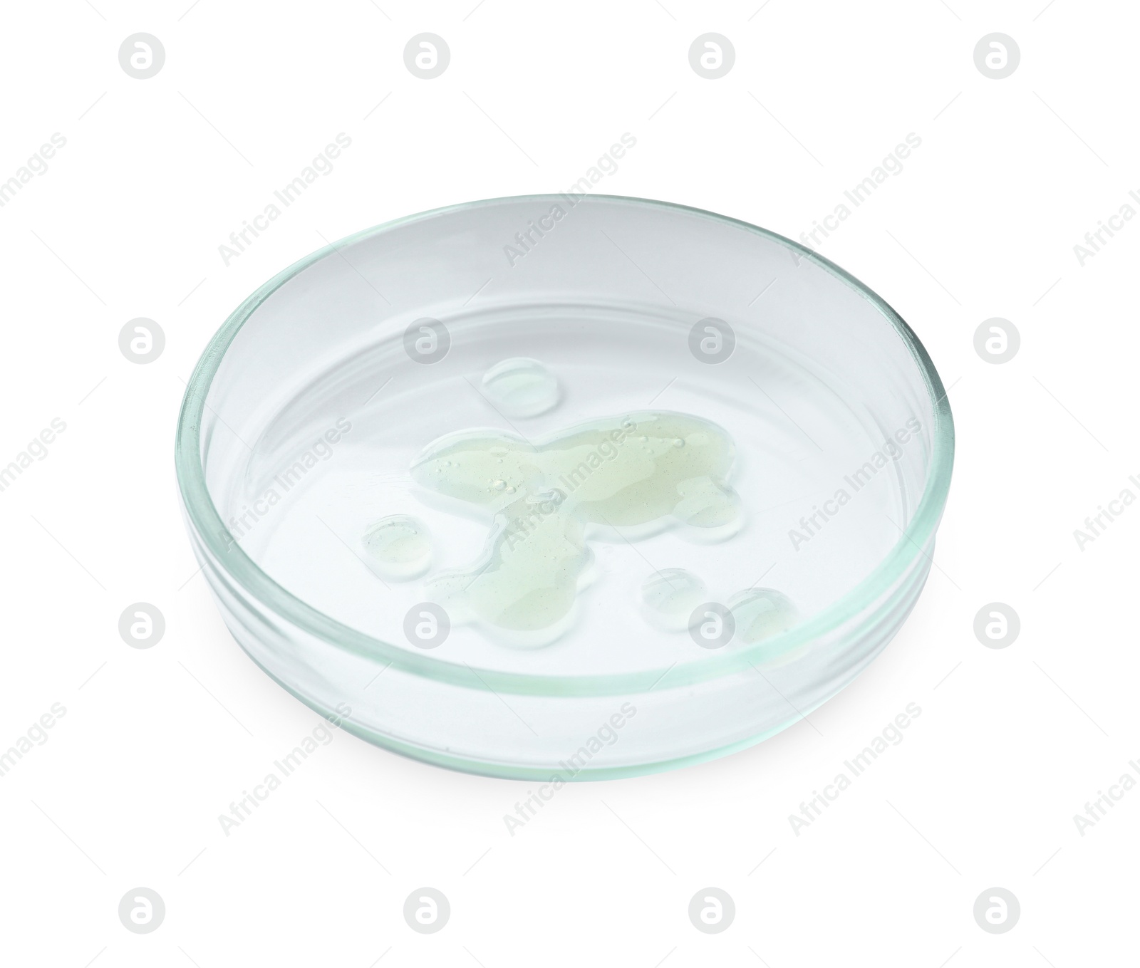 Photo of Petri dish with liquid isolated on white