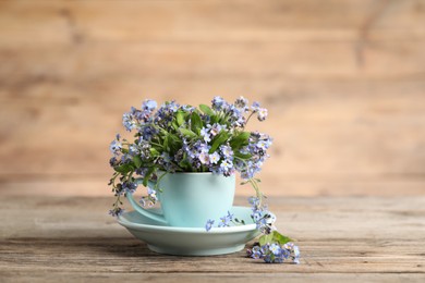 Beautiful forget-me-not flowers in cup and saucer on wooden table, closeup