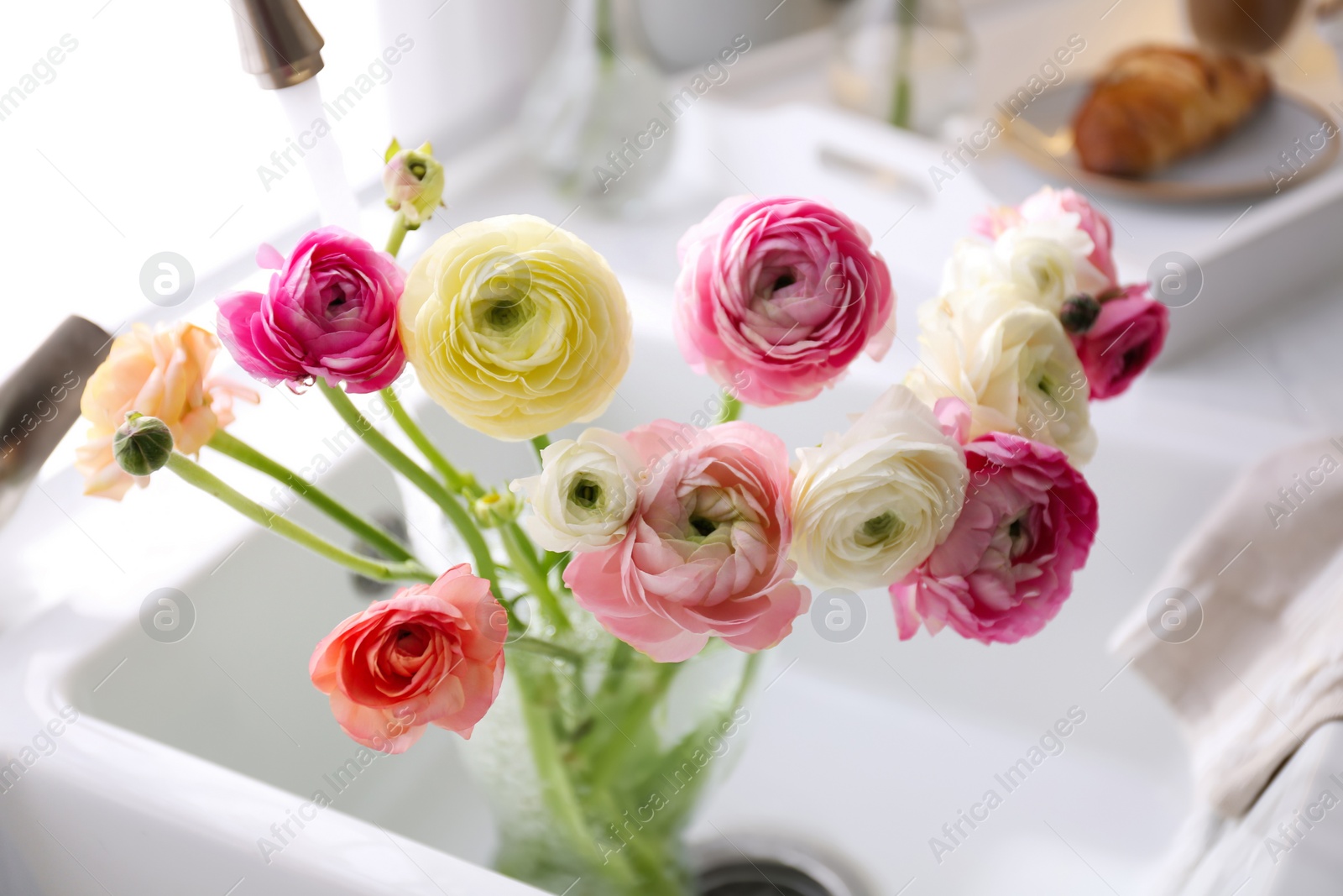 Photo of Beautiful fresh ranunculus flowers in kitchen sink