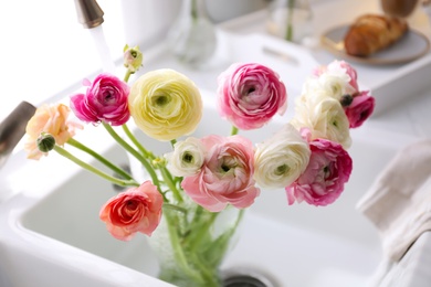 Beautiful fresh ranunculus flowers in kitchen sink