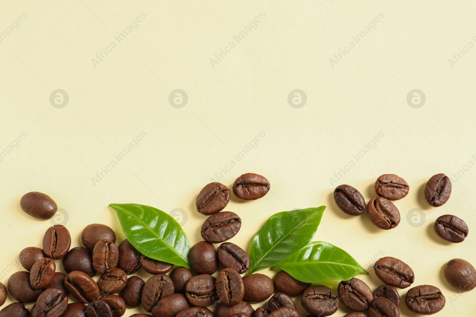 Photo of Fresh green coffee leaves and beans on light yellow background, flat lay. Space for text