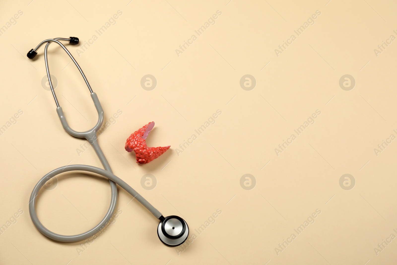 Photo of Endocrinology. Stethoscope and model of thyroid gland on beige background, top view. Space for text