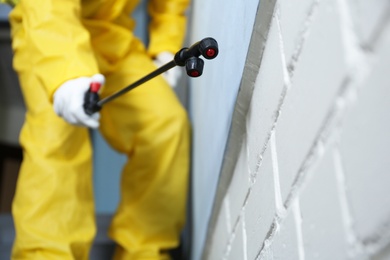Photo of Pest control worker spraying pesticide indoors, closeup