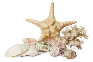 Photo of Beautiful starfish, coral and sea shells on white background