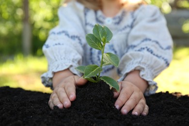 Cute baby girl planting tree outdoors, closeup