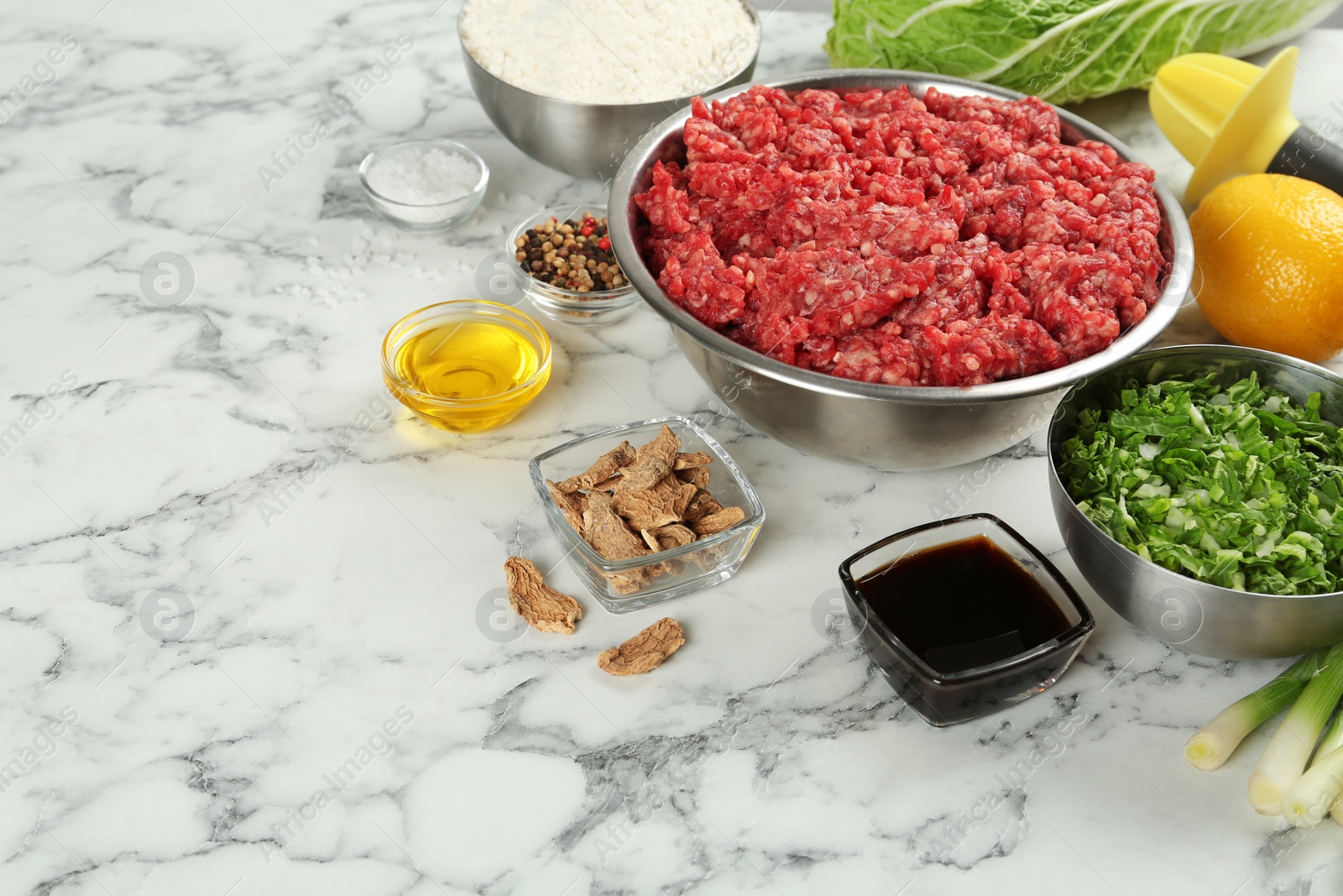 Photo of Composition with gyoza ingredients on white marble table, space for text