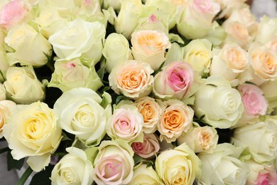 Photo of Many beautiful roses as background, top view