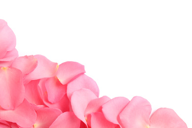 Photo of Fresh pink rose petals on white background, top view