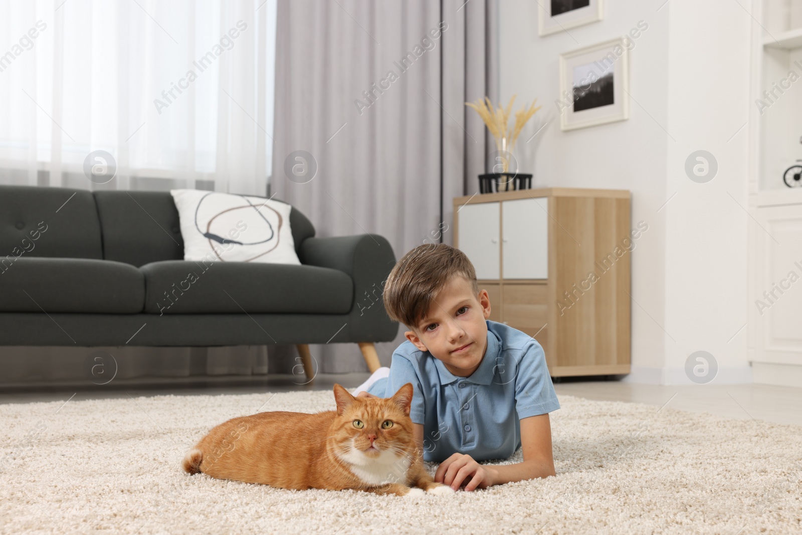 Photo of Little boy with cute ginger cat on soft carpet at home