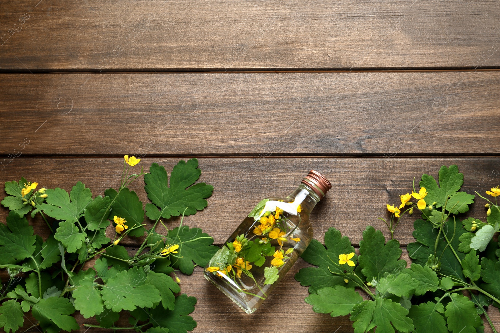 Photo of Bottle of celandine tincture and plant on wooden table, flat lay. Space for text