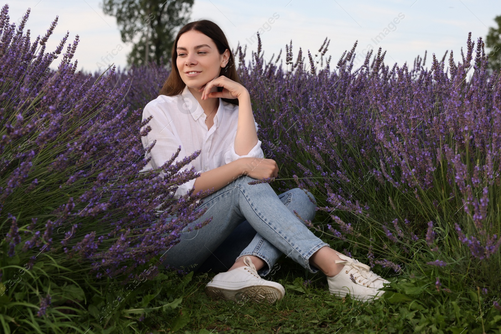 Photo of Beautiful woman sitting among lavender plants outdoors