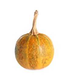 Photo of Fresh raw pumpkin isolated on white. Organic plant