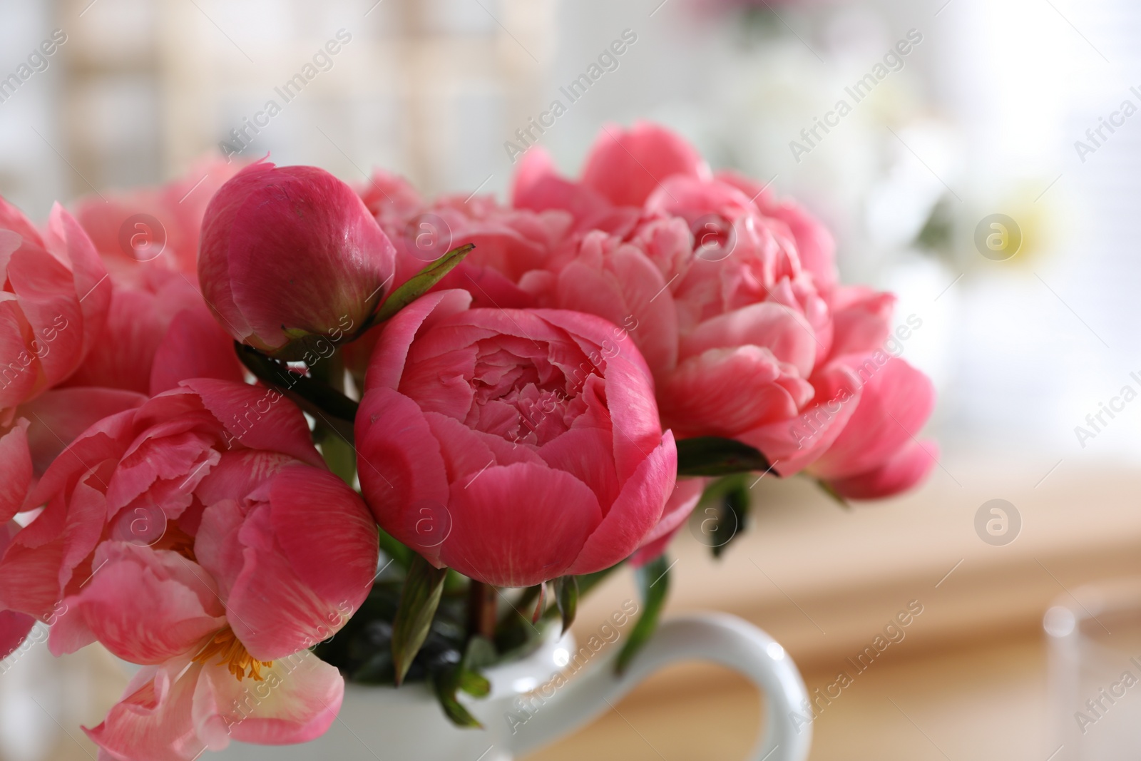 Photo of Beautiful peony bouquet on blurred background, closeup