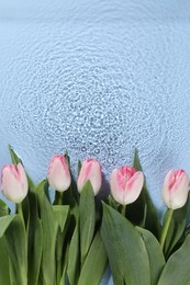 Beautiful tulips in water on light blue background, top view. Space for text