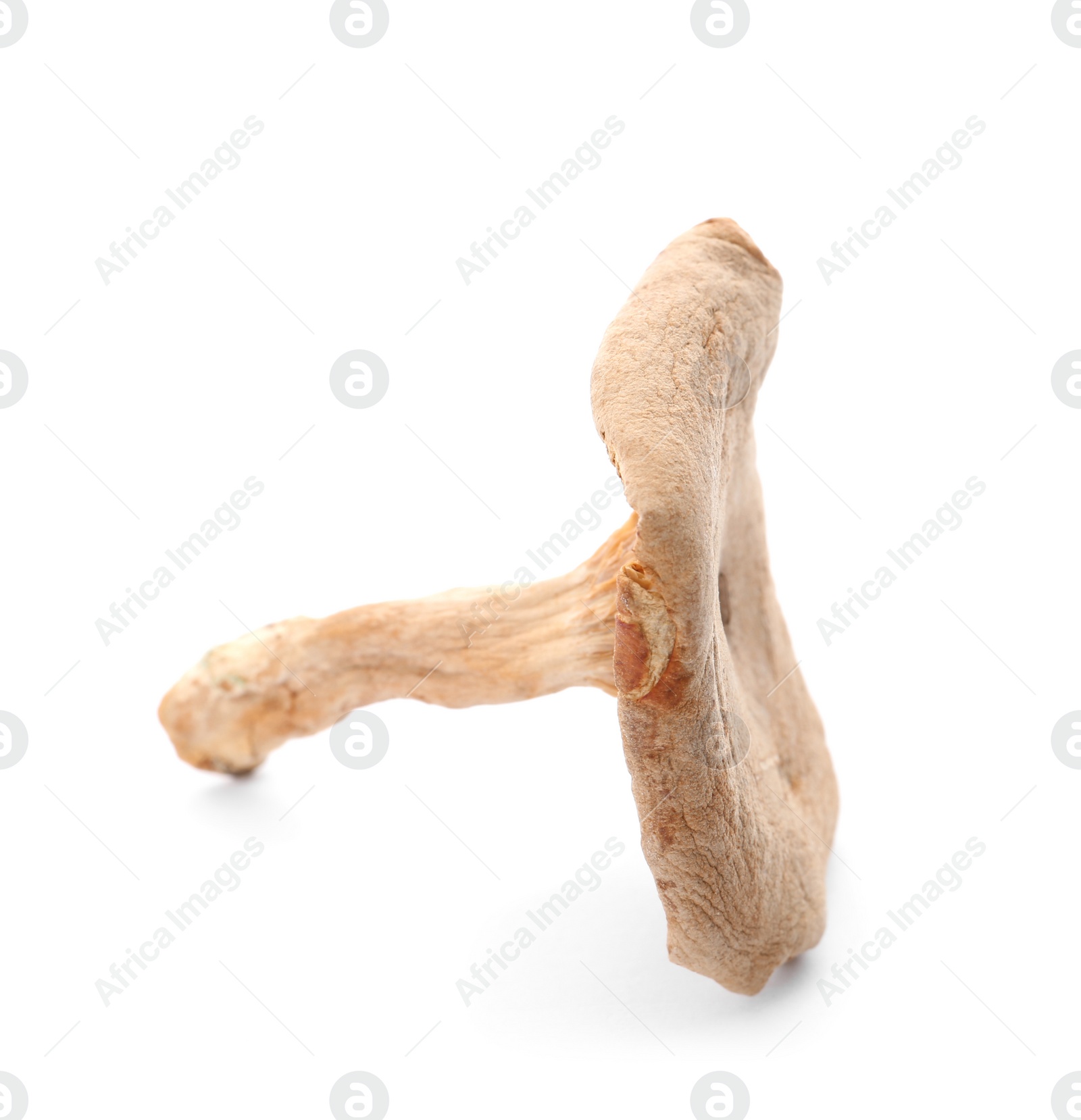 Photo of Dried aromatic chanterelle mushroom isolated on white