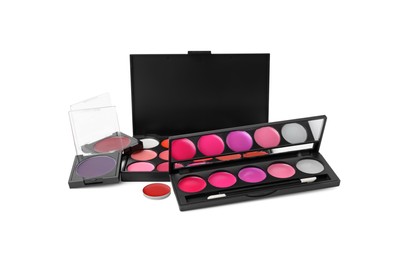 Photo of Colorful lip palettes with brush isolated on white. Professional cosmetic product