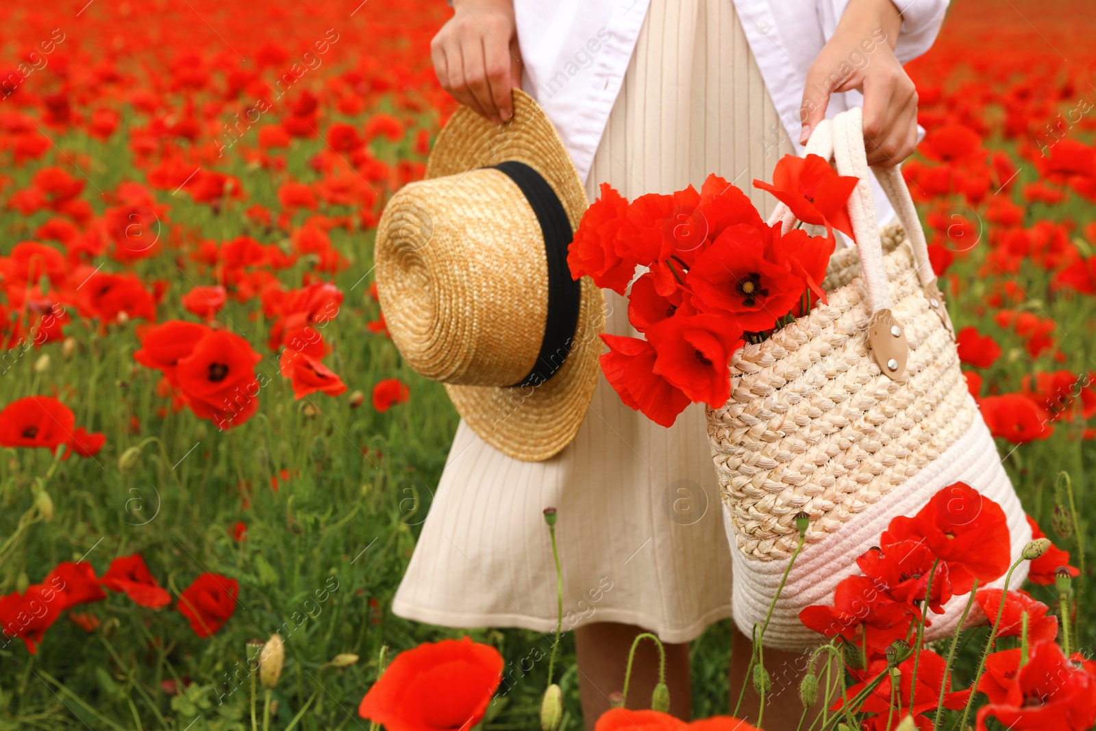 Photo of Woman holding straw hat and handbag with poppy flowers in beautiful field, closeup