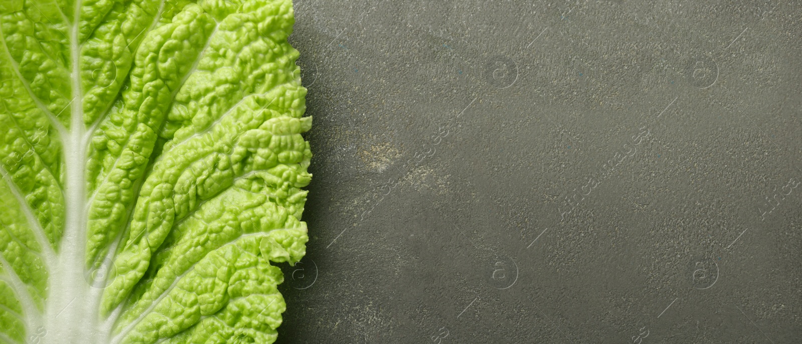 Image of Fresh Chinese cabbage leaf on grey background, top view. Banner design with space for text